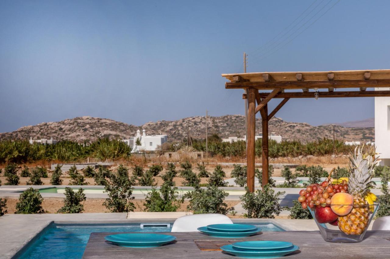 Bamboo Villa Naxos Микри Вигла Екстериор снимка